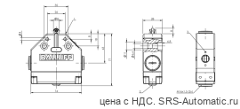 Одиночный выключатель Balluff BNS 813-FL-60-183-FD - Одиночный выключатель Balluff BNS 813-FL-60-183-FD