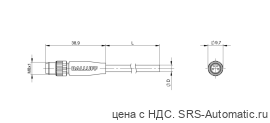 Разъем с кабелем Balluff BCC M314-0000-20-003-VX8434-100 - Разъем с кабелем Balluff BCC M314-0000-20-003-VX8434-100