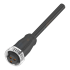 Разъем с кабелем Balluff BCC A313-0000-10-097-PX03A5-020 - Разъем с кабелем Balluff BCC A313-0000-10-097-PX03A5-020