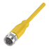 Разъем с кабелем Balluff BCC M415-0000-1A-001-EX43T2-100 - Разъем с кабелем Balluff BCC M415-0000-1A-001-EX43T2-100