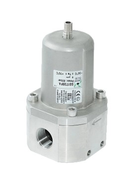 SS173BFA - Фильтр, 1/2" NPT, 5мкм, 4000нл/мин, нержавеющая сталь - SS173BFA - Фильтр, 1/2" NPT, 5мкм, 4000нл/мин, нержавеющая сталь
