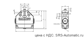 Одиночный выключатель Balluff BNS 819-FK-60-101-FE - Одиночный выключатель Balluff BNS 819-FK-60-101-FE