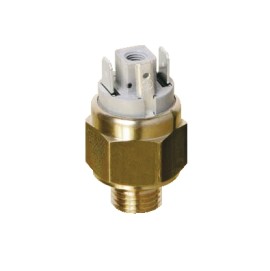 5062608060 - Термореле нерегулируемое, 55...65°С, G1/2", НЗ, ~250В/10А, Pmax 80 Бар - 5062608060 - Термореле нерегулируемое, 55...65°С, G1/2", НЗ, ~250В/10А, Pmax 80 Бар