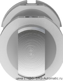 Festo DSNU-32-80-PPV-A Пневмоцилиндр - Festo DSNU-32-80-PPV-A Пневмоцилиндр